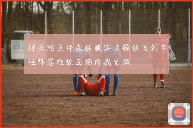 胖头陀点评森林狼实力强劲马刺年轻阵容难敌五场内战晋级