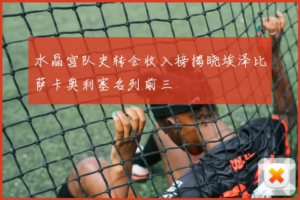 水晶宫队史转会收入榜揭晓埃泽比萨卡奥利塞名列前三